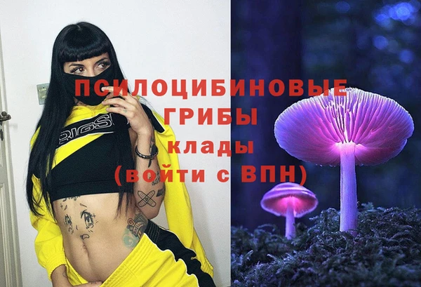 ешки Волосово